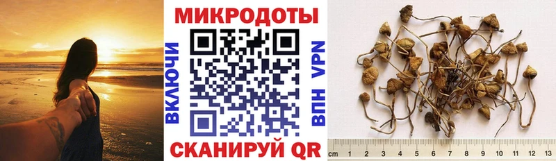 наркошоп  Мещовск  mega онион  Псилоцибиновые грибы Cubensis 